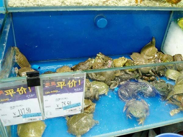 대륙마트 이미지