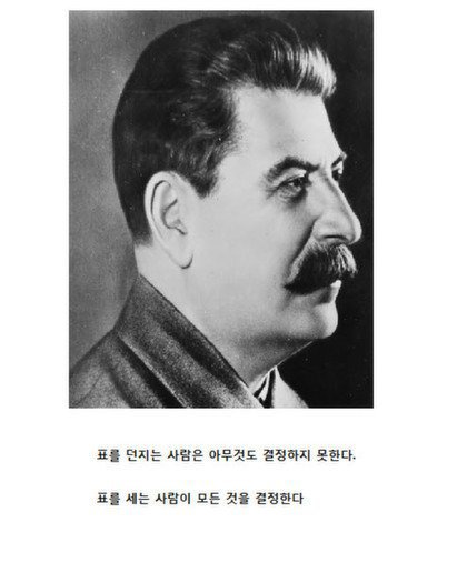 주작사태를 예견하는 대원수의 격언 | 인스티즈
