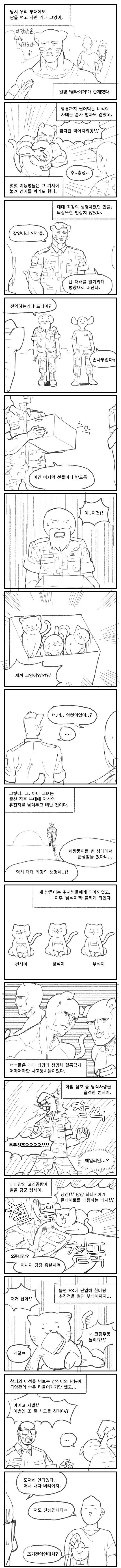 어느 짬타이거 형제들 이야기 | 인스티즈