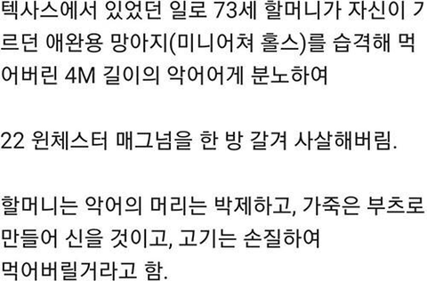 미국의 73세 할머니 클라스 | 인스티즈