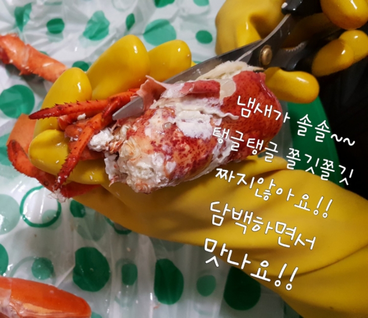빠라빠라 이미지
