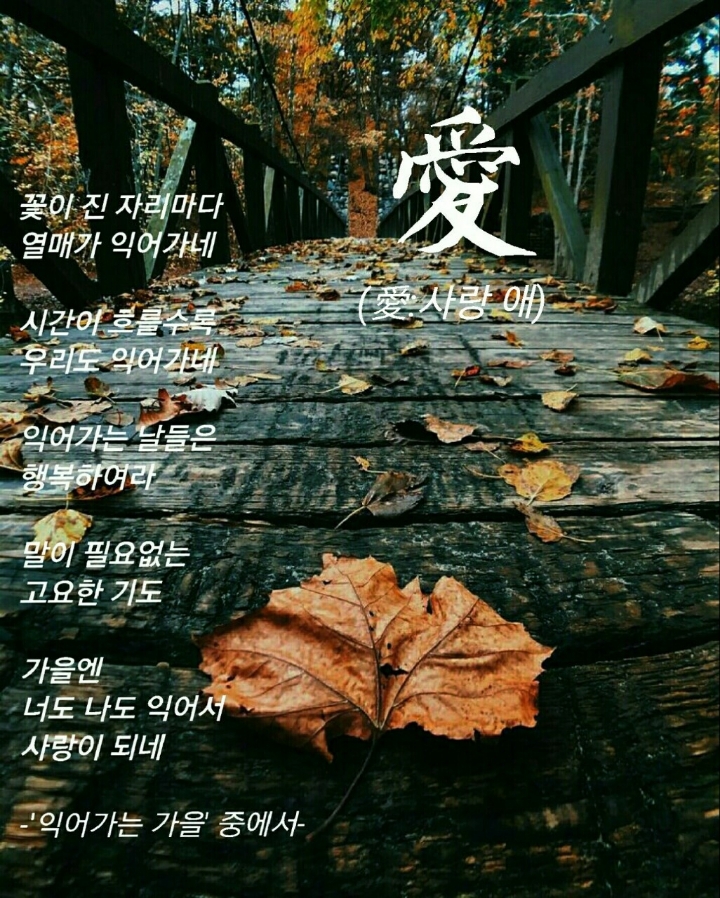 사랑애 이미지