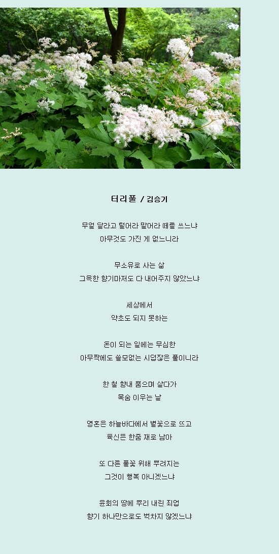 티리 이미지
