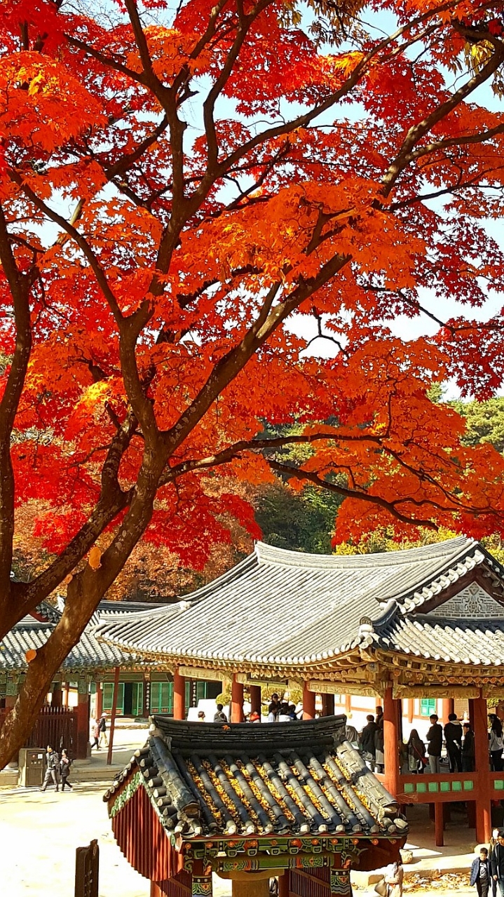 공산성커피 이미지