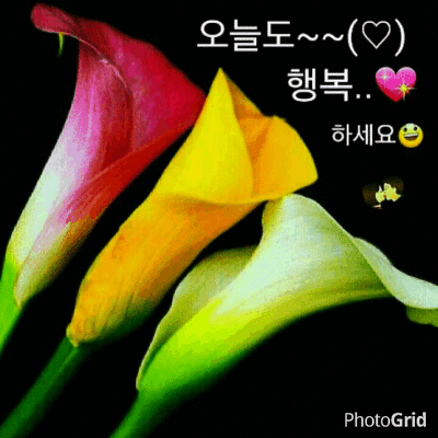 만냥노래방 이미지
