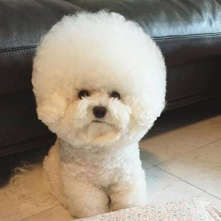 뭉치 이미지