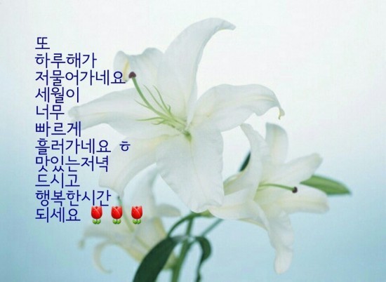 하루해 이미지
