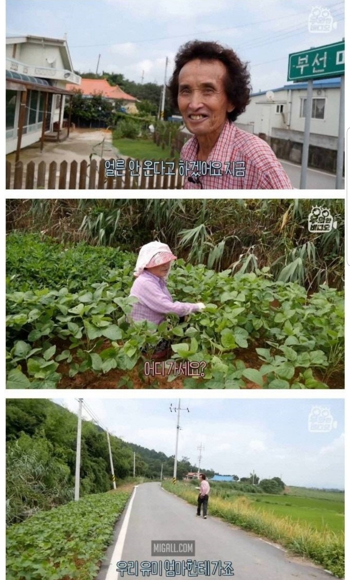 스압) 할아버지의 무덤 로맨스.jpg | 인스티즈