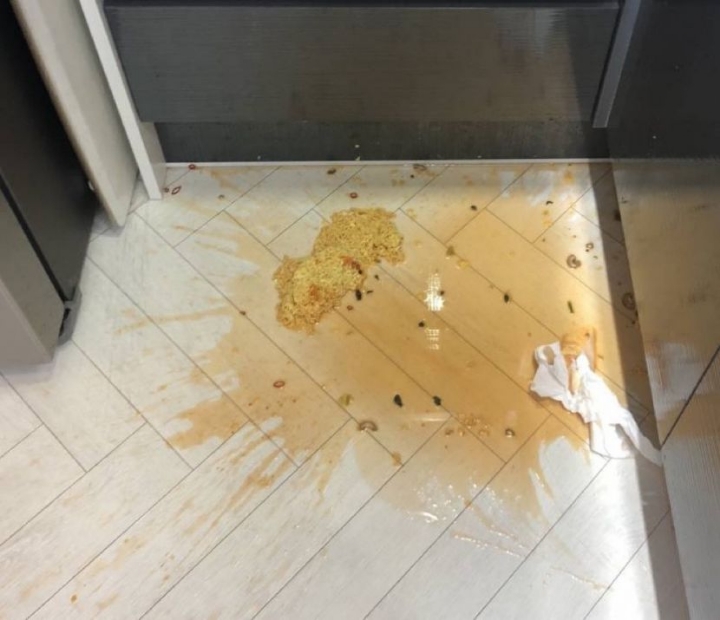 라면 대참사 모음.jpg | 인스티즈