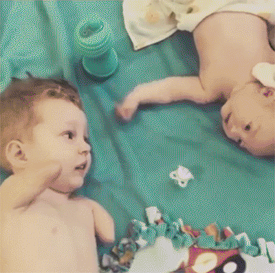 양손은 없지만 대신 날개가 있어.gif | 인스티즈