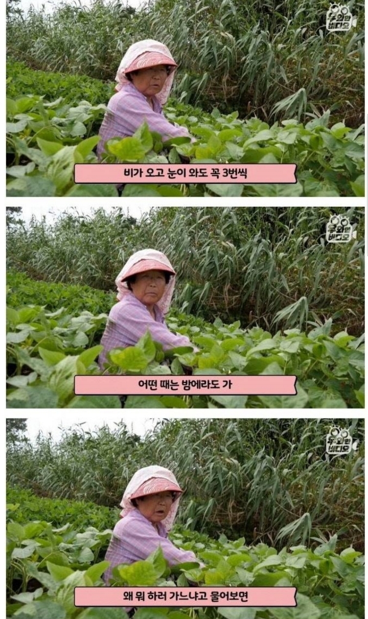 스압) 할아버지의 무덤 로맨스.jpg | 인스티즈