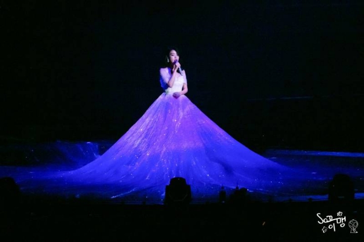 아이유 콘서트용 드레스 크기.jpg | 인스티즈