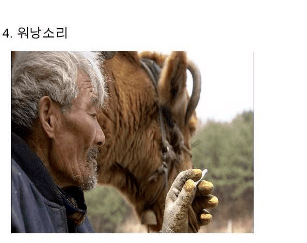 착하고 순하게 살면 안된다는 걸 보여주는 사례들.jpg | 인스티즈