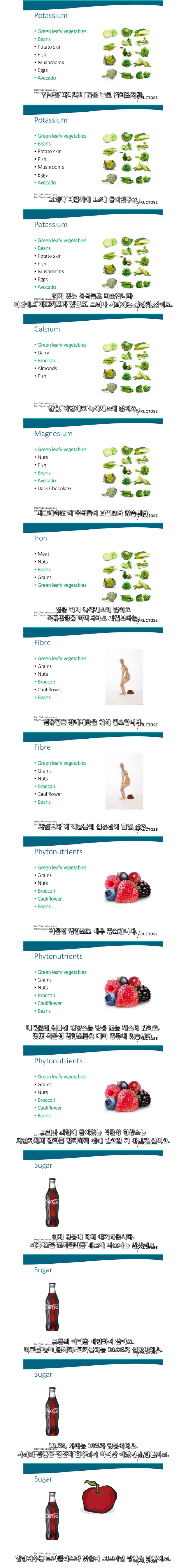 스압) 과일은 건강한 음식이 아니다.jpg | 인스티즈
