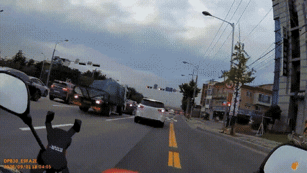 변호사님 제가 뭘 잘못했는지 가르쳐 주십시오 | 인스티즈