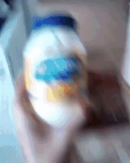 모든것을 두려워하는 개 | 인스티즈