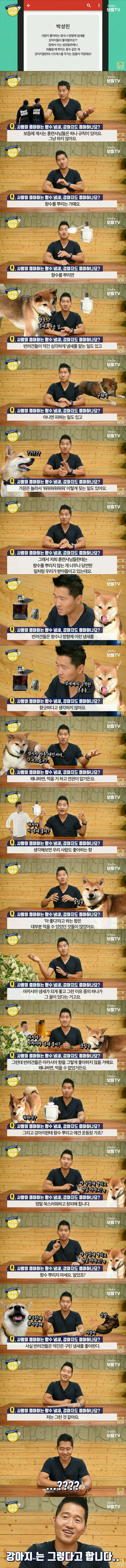 강아지는 향수냄새를 싫어할까요?.jpg | 인스티즈