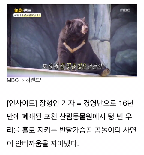 경영난으로 문 닫은 텅 빈 포천동물원에서 홀로 빈 집 지키는 곰돌이 | 인스티즈