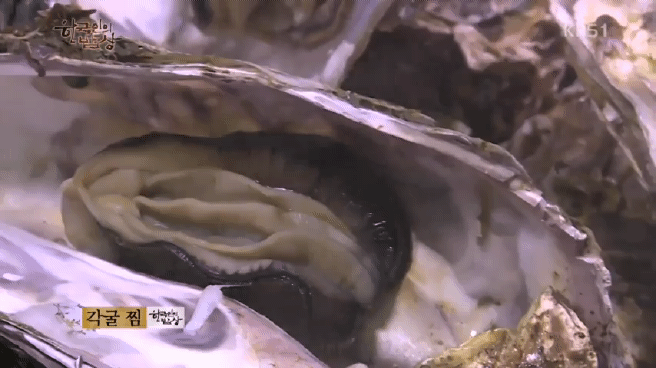 한국인의 밥상 남쪽 바다 해장국편 | 인스티즈