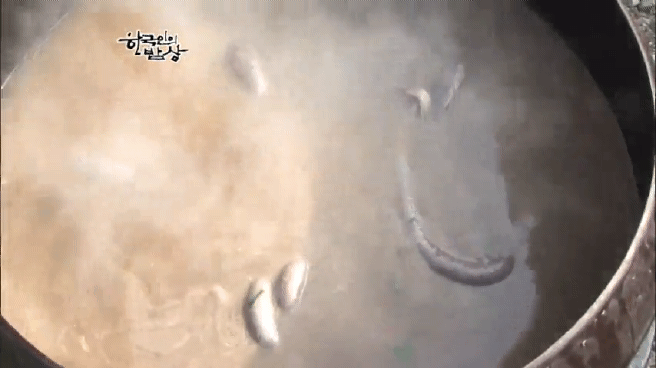 한국인의 밥상 순대편 | 인스티즈