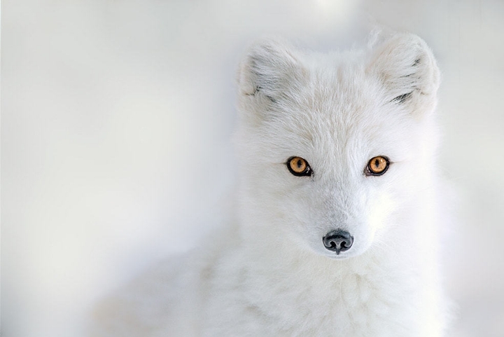 중국 여성 의료인들 상황 ㄷㄷㄷㄷ.jpg | 인스티즈