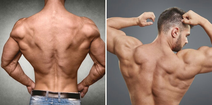 가장 멋지다고 생각하는 근육은? | 인스티즈