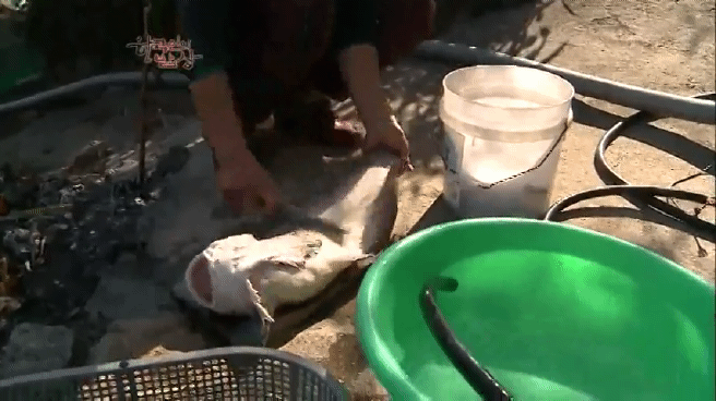 한국인의 밥상 물메기 밥상편 | 인스티즈