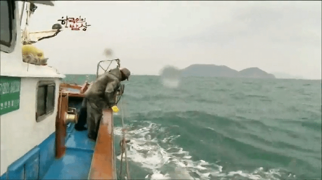 한국인의 밥상 물메기 밥상편 | 인스티즈