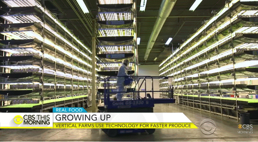 미국이 미래에도 강대국인 이유.j&amp;g | 인스티즈