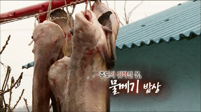 한국인의 밥상 물메기 밥상편 | 인스티즈