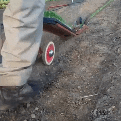 모종 심는 기계.gif | 인스티즈