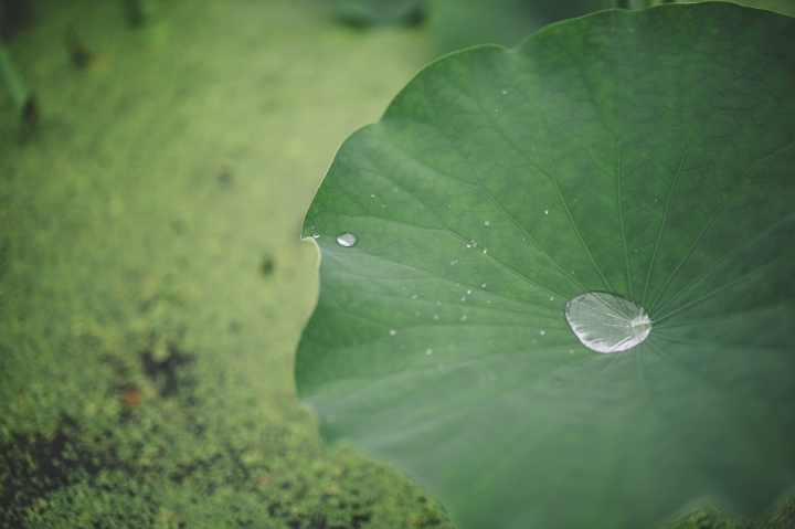 섹스하면 똑똑해진다.jpg | 인스티즈