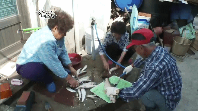 한국인의 밥상 옥천 민물고기 밥상편 | 인스티즈