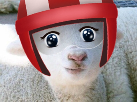 나방을 영어로 쓸수 없는 이유 | 인스티즈