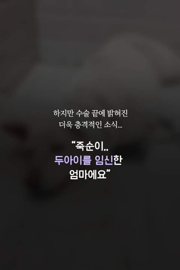 칼에 찔렸던 유기견 죽순이에게 일어난 기적 | 인스티즈