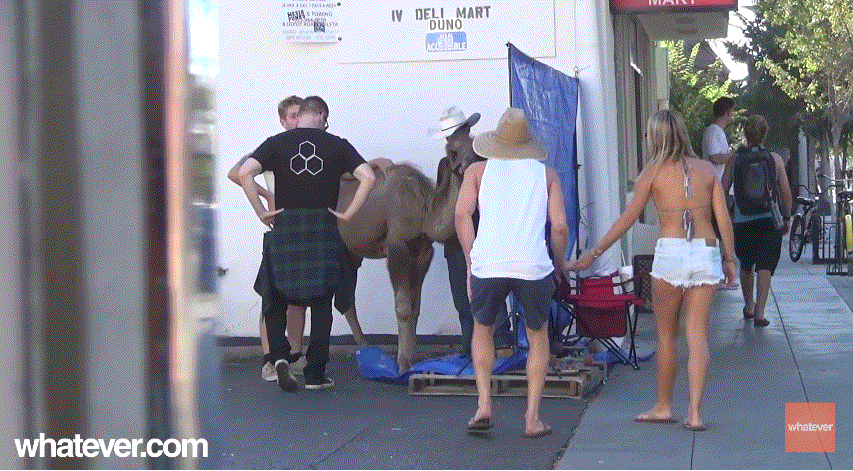 와~ 도끼자국 엄청 크다~ | 인스티즈