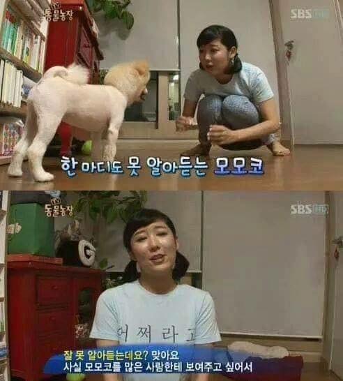동물농장 이미지
