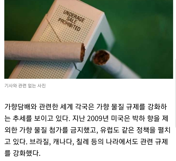 흡연자들 사이서 인기 많은 '멘솔담배'... 판매 금지된다 | 인스티즈