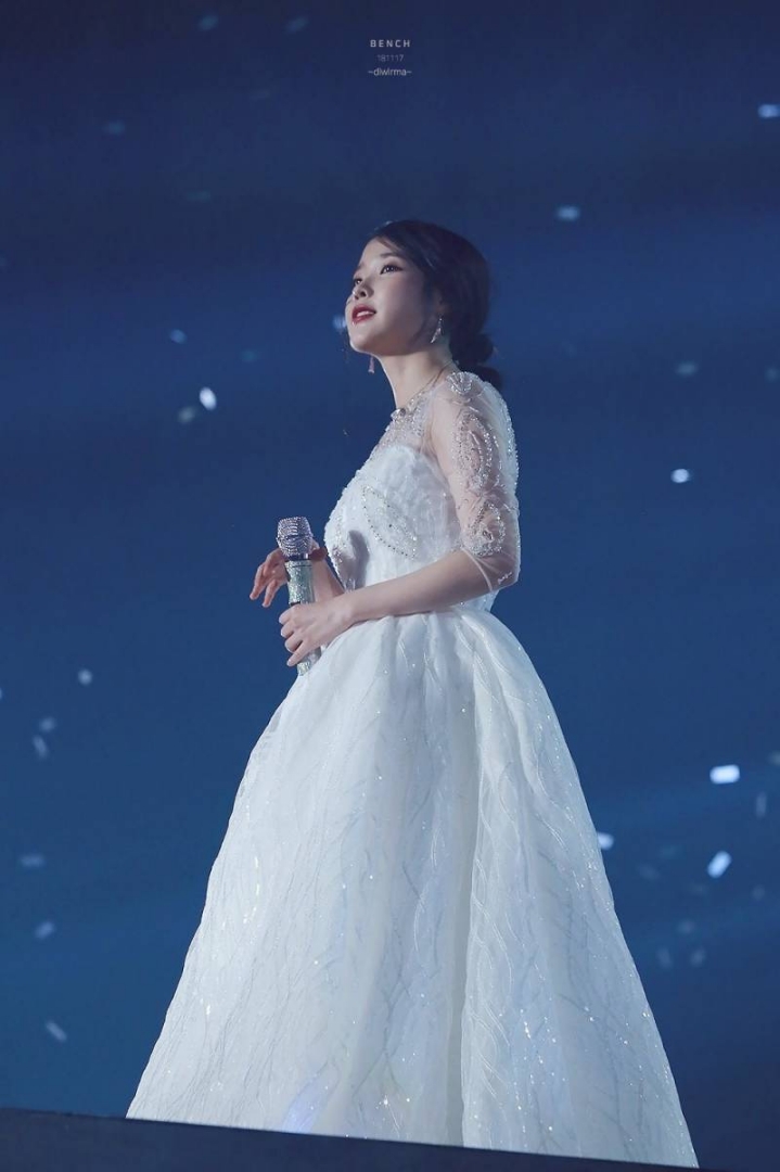 아이유 콘서트용 드레스 크기.jpg | 인스티즈
