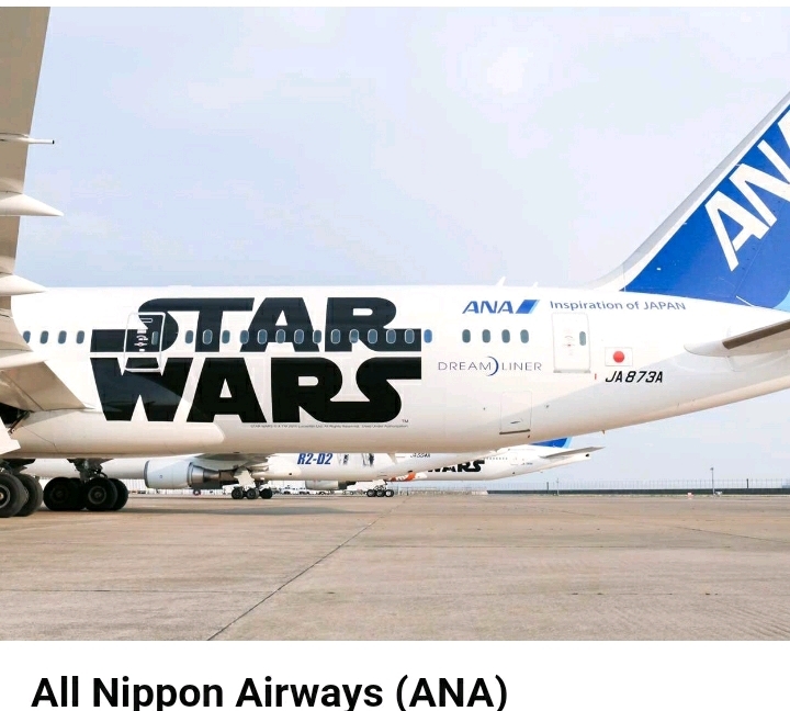 특이한 디자인을 가진 세계 항공사들 | 인스티즈