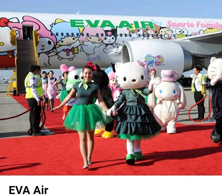 특이한 디자인을 가진 세계 항공사들 | 인스티즈