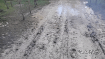 인도네시아 특수부대 훈련모습.gif | 인스티즈