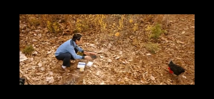 류승범 코믹연기 레전드 | 인스티즈