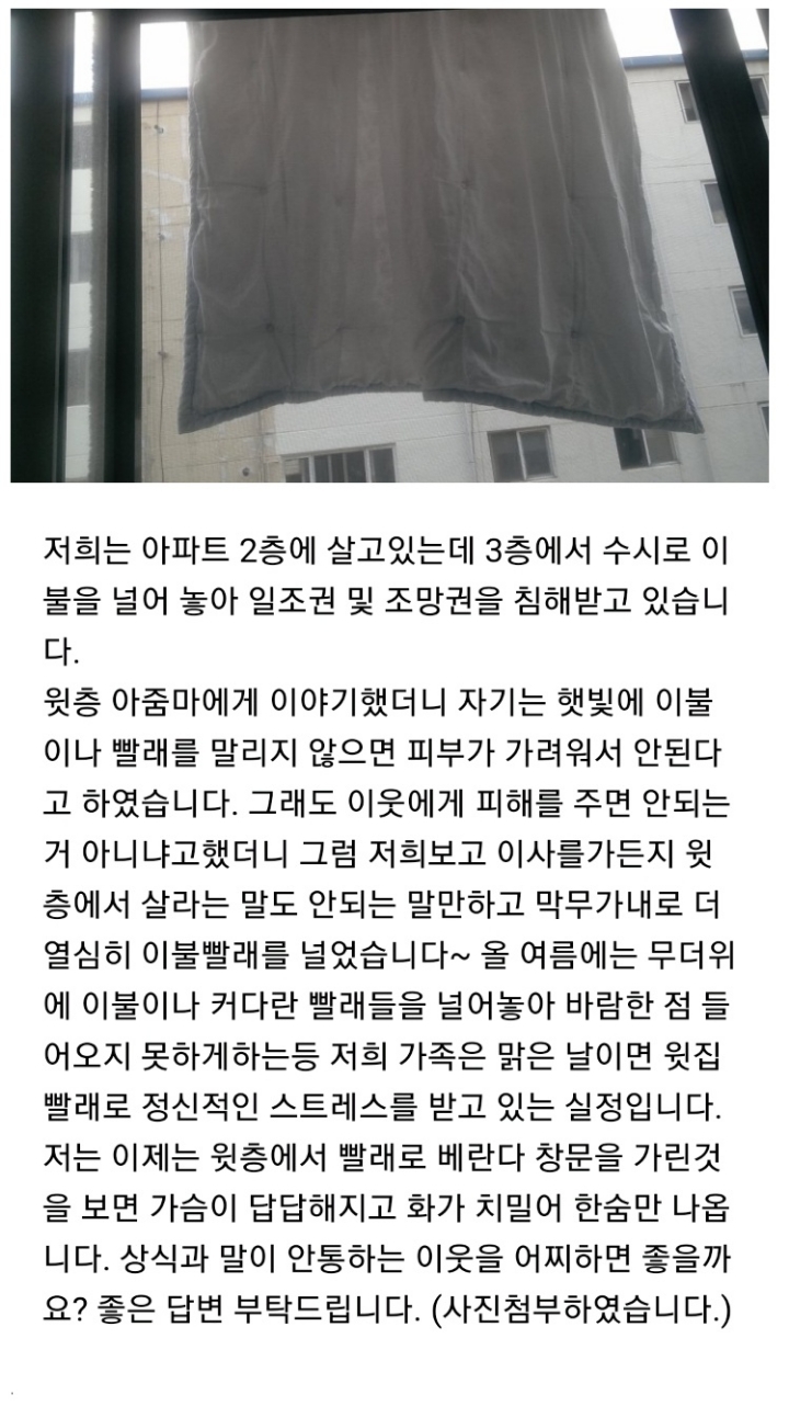 윗집 이불 빨래 때문에 미치겠어요.jpg | 인스티즈