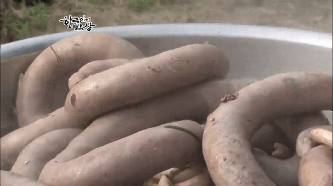 한국인의 밥상 순대편 | 인스티즈