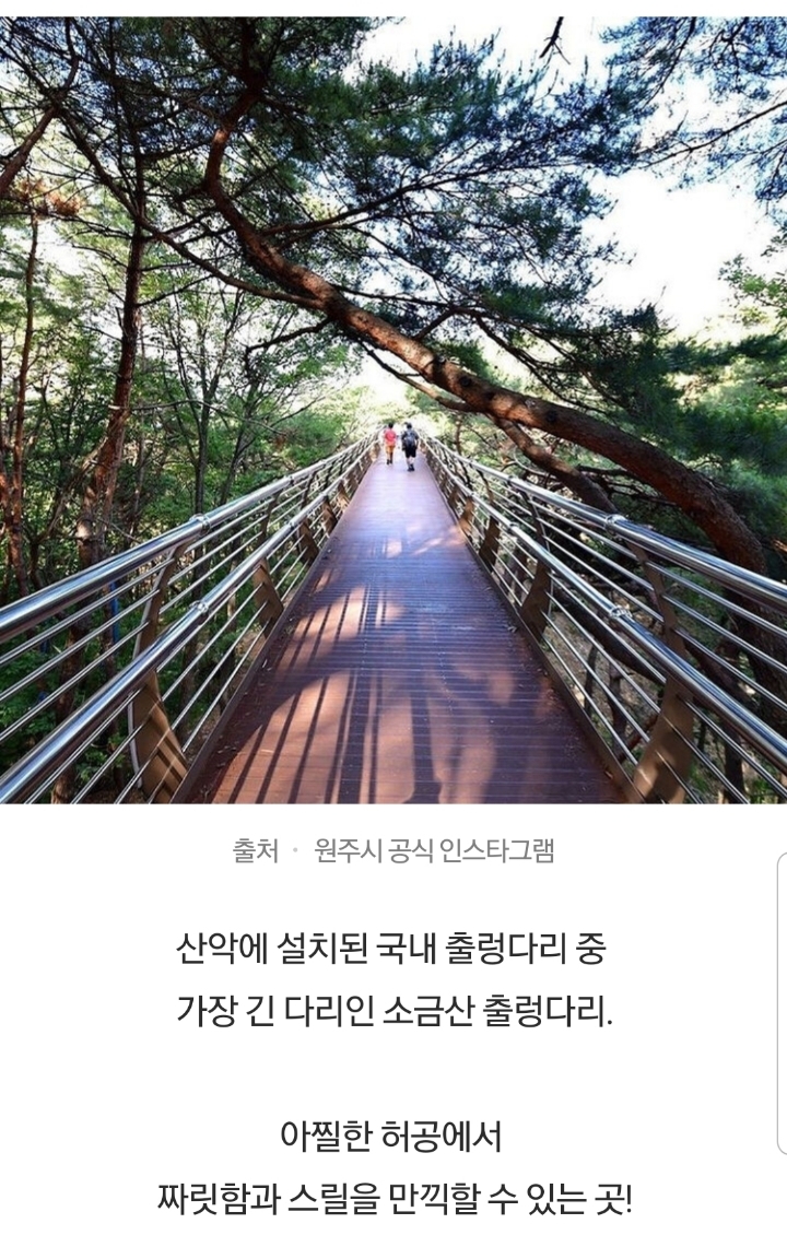 설연휴 무료개방 명소5 | 인스티즈