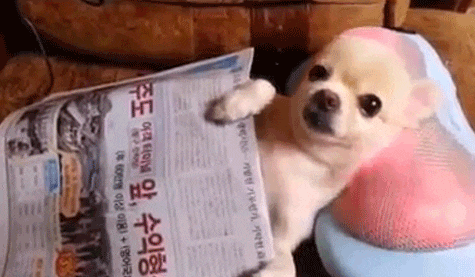 보고 외우면 한번은 써 먹을만한 팁 | 인스티즈