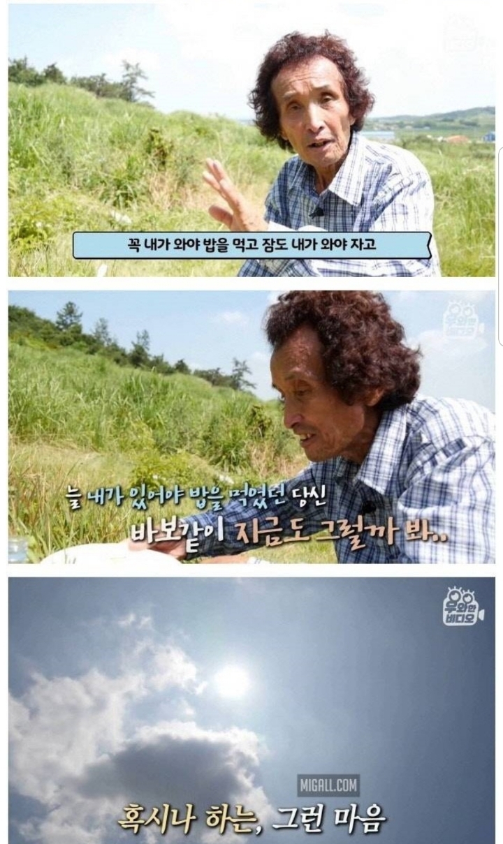 스압) 할아버지의 무덤 로맨스.jpg | 인스티즈