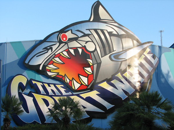 수족관에 백상아리가 없는 이유 | 인스티즈