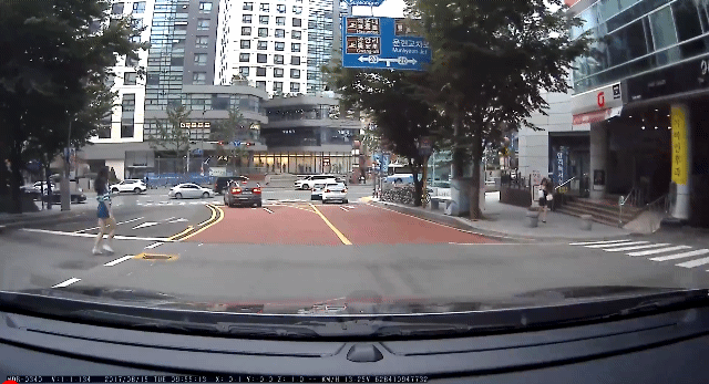 [블박] 자연스러운 무단횡단 .gif | 인스티즈